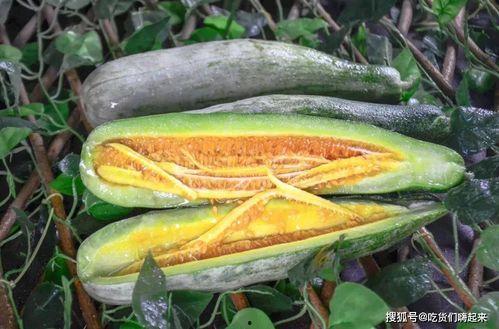 网红陈妮妮吃瓜